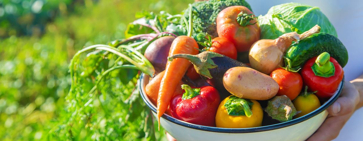 Saisonkalender Obst & Gemüse Deutschland | Übersicht