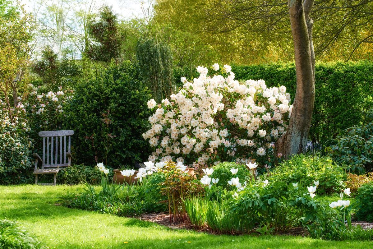Ruhe im eigenen Garten — der perfekte Rückzugsort im Enzkrei
